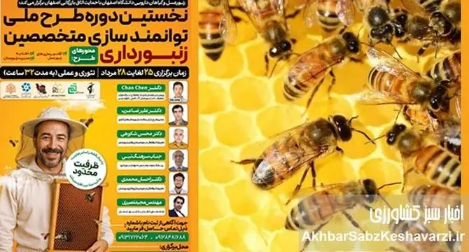 دانشگاه اصفهان پیشگام شد: آغاز نخستین دوره توانمندسازی متخصصین زنبورداری در خوانسار+جزئیات