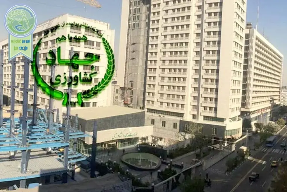 جناب آقای پزشکیان ما شرم کردیم، شما چطور؟+ ویدئو

