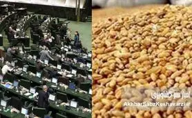 مرغ‌های ایرانی از چاق شدن امتناع می‌کنند؛ فساد پنهان در واردات نهاده‌های دامی زیر ذره‌بین مجلس