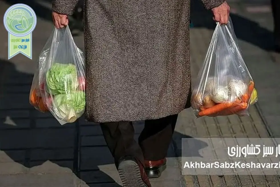 رکود به کالای اساسی رسید؛ تورم ۶۶ درصدی در مواد غذایی