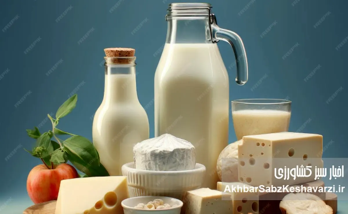 کاهش نرخ مصوب شیرخام؛ لبنیات واقعا ارزان می‌شود یا فقط اصلاح قیمتی است ؟