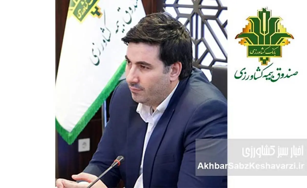 آغاز پرداخت غرامت گندمکاران با واریز ۱۱۰۰ میلیارد تومان | حمایت دولت از کشاورزان فاقد بیمه