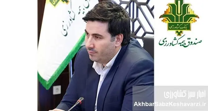 آغاز پرداخت غرامت گندمکاران با واریز ۱۱۰۰ میلیارد تومان | حمایت دولت از کشاورزان فاقد بیمه