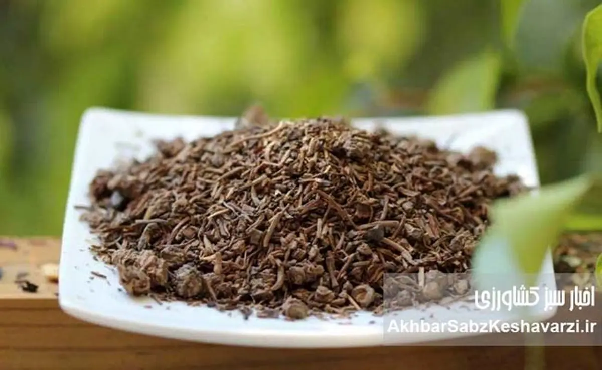 راز آرامش اعصاب در طب چینی: با «آرامبخشهای طبیعی» سیستم ایمنی را تقویت کنید!
