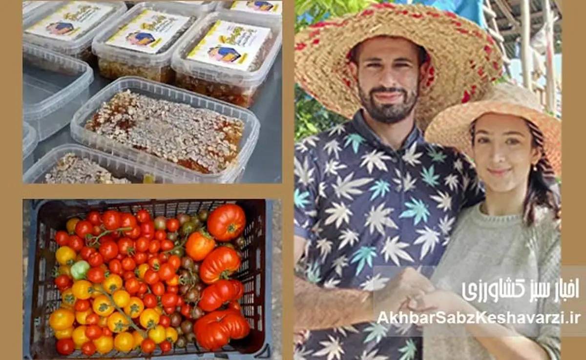 زوجی جوان با دریایی از عشق به تولید: الگویی برای مهاجرت معکوس و خودکفایی در قلب مازندران+ ویدئو