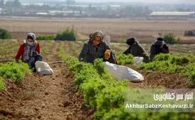 کشاورزی احیایی چیست و چرا خاک به آن نیاز دارد؟