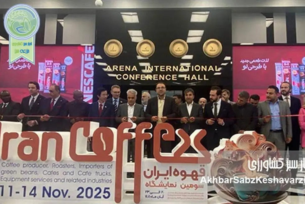 سومین نمایشگاه قهوه ایران آغاز به کار کرد؛ استقبال خارجی‌ها از بازار ایران