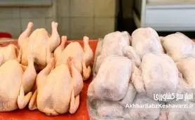 آزادسازی پنهان نهاده‌ها؛ وقتی بحران مرغ از انبارها شروع شد