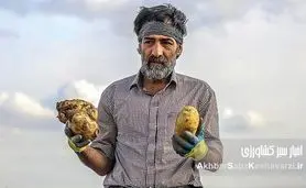 قیمت سیب‌زمینی؛ کابوسی تکراری برای سیب‌زمینی‌کاران گلستان!