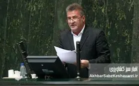 فاجعه در صنعت مرغداری؛ جوجه‌ها قربانی کمبود نهاده شدند