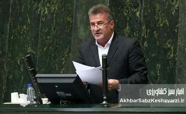 فاجعه در صنعت مرغداری؛ جوجه‌ها قربانی کمبود نهاده شدند