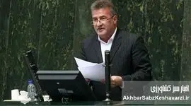 فاجعه در صنعت مرغداری؛ جوجه‌ها قربانی کمبود نهاده شدند