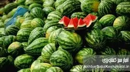 امکان خرید با کمترین قیمت از بازار‌ها و میادین میوه و تره بار