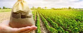 درخواست کمک هزینه با برنامه DuPont Pioneer Giving در کشاورزی