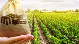 درخواست کمک هزینه با برنامه DuPont Pioneer Giving در کشاورزی