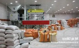 جزئیات عرضه برنج سهمیه ای+ محل های خرید برای مردم

