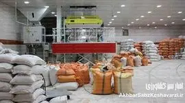 جزئیات عرضه برنج سهمیه ای+ محل های خرید برای مردم

