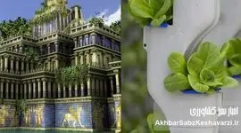 هیدروپونیک؛ از باغ‌های معلق بابل تا سفره‌های ایرانی!+ویدئو