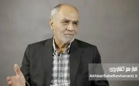 بدون سود برای کشاورز، توسعه پنبه در ایران رویایی دست‌نیافتنی است