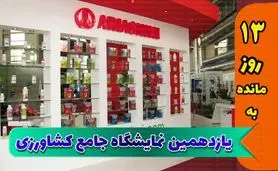 سهمیه‌بندی واردات مواد تکنیکال حذف گردد

