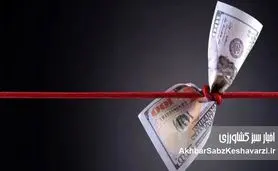 چرا افسار دلار کشیده نمی‌شود؟ ریشه‌های پنهان جهش ارزی که کسی صادقانه نمی‌گوید