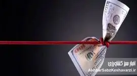 چرا افسار دلار کشیده نمی‌شود؟ ریشه‌های پنهان جهش ارزی که کسی صادقانه نمی‌گوید