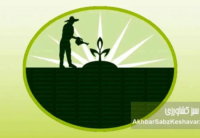 سموم ارگانیک تأییدشده؛ آیا کشاورزی بدون سم شیمیایی ممکن است؟