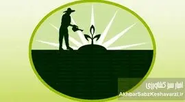 سموم ارگانیک تأییدشده؛ آیا کشاورزی بدون سم شیمیایی ممکن است؟