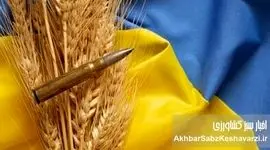 غارت گندم اوکراین: تصاحب محصول کشاورزان توسط اشغالگران روس