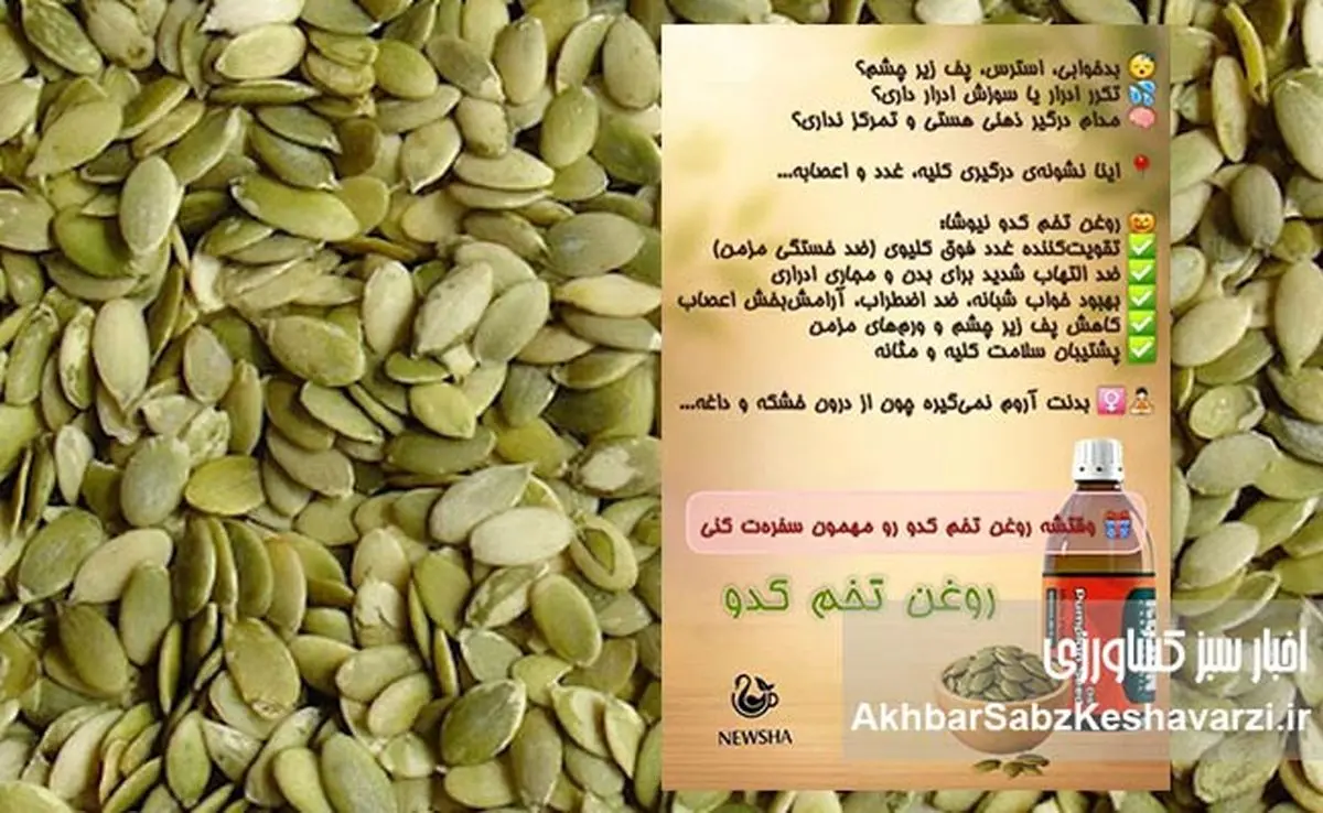 دانه جادویی کدو: اکسیر سلامتی برای بدن و ذهن شما