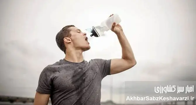 گرمای تابستان؛  قاتل نامرئی قلب و پوست شما! راز تشنگی پنهان چیست؟