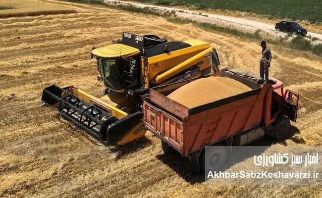 آخرین وضعیت خرید تضمینی گندم
