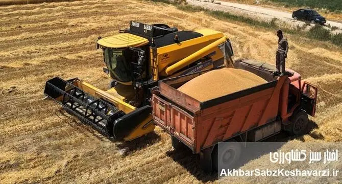 آخرین وضعیت خرید تضمینی گندم
