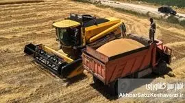 آخرین وضعیت خرید تضمینی گندم
