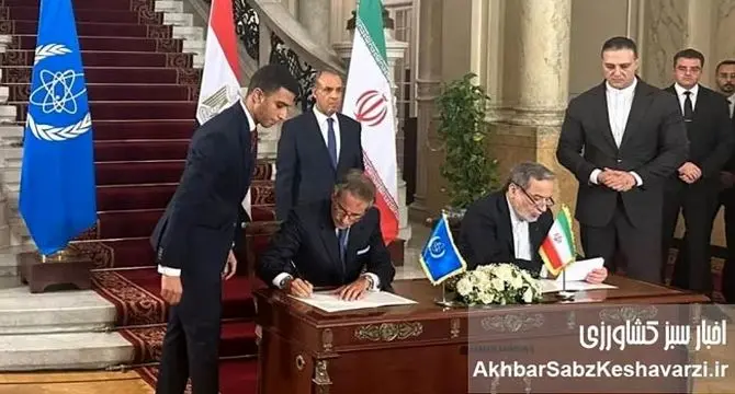 توافق قاهره؛ بازی دیپلماتیک ایران در میدان مین هسته‌ای