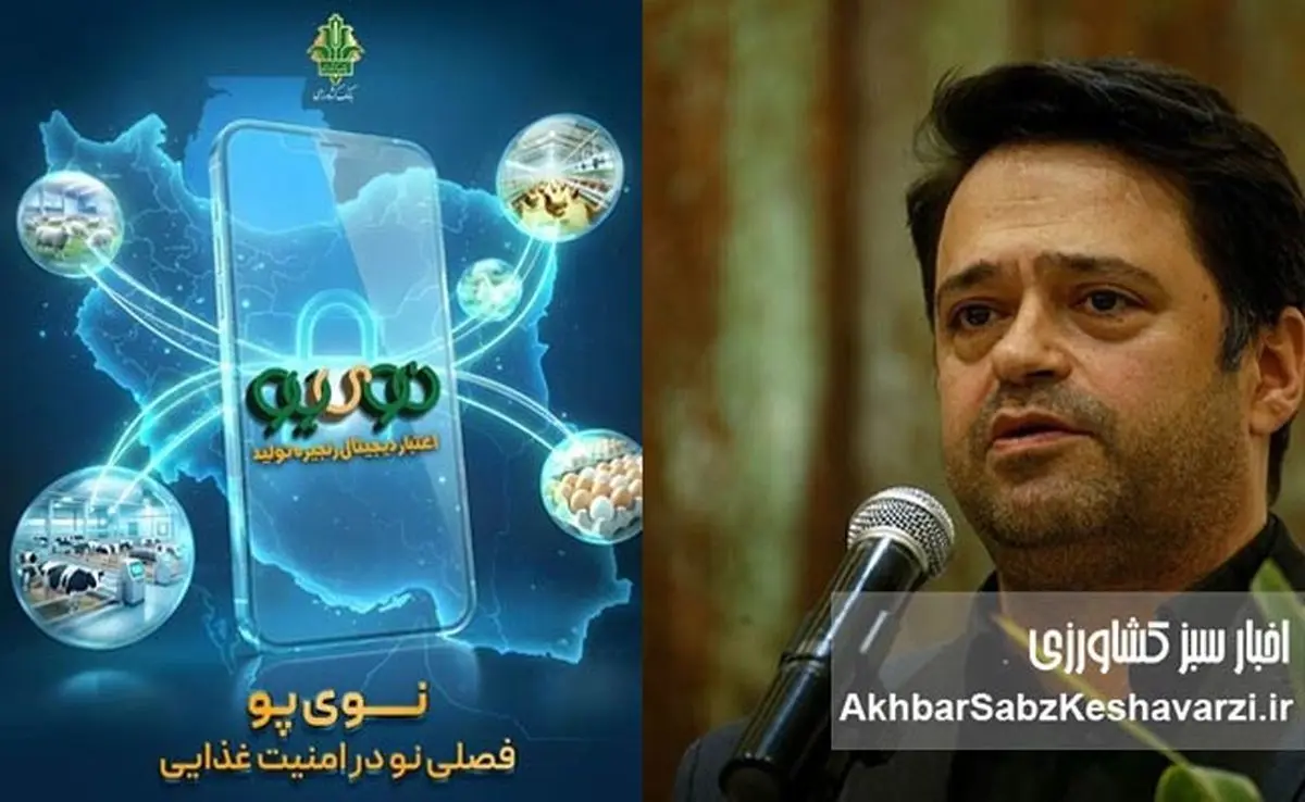 «نوی پو» بانک کشاورزی؛ ابزار جدید حمایت از تولید مرغ