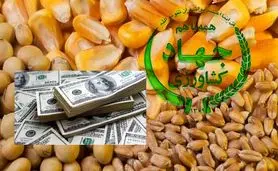 زنگ خطر برای بازار کالاهای اساسی/ تعلل در تخصیص ارز ۲۸۵۰۰ تومانی نهاده‌های کشاورزی+ نامه