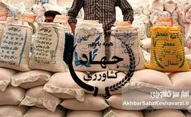 دلایل بهمریختگی و گرانی بازار برنج | وزارت جهاد کشاورزی متهم ردیف اول بحران برنج ایرانی و خارجی