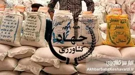 دلایل بهم‌ریختگی و گرانی بازار برنج | وزارت جهاد کشاورزی متهم ردیف اول بحران برنج ایرانی و خارجی