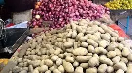 پس از ماه‌ها گرانی، سیب‌زمینی بهاره رسید و قیمت‌ها پایین آمد!