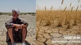 فریاد اضطرار کشاورزی ایران: بخش حیاتی کشاورزی در آستانه بحران