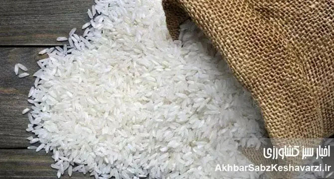 نگرانی‌ها از افزایش قیمت برنج/ آیا سفره‌های ایرانی کوچک‌تر می‌شوند؟