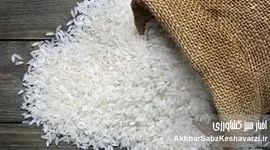 نگرانی‌ها از افزایش قیمت برنج/ آیا سفره‌های ایرانی کوچک‌تر می‌شوند؟