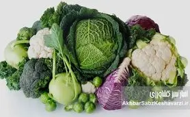 چربی شکمی با این سبزیجات معجزه‌آسا آب می‌شود | راهنمای جامع تغذیه