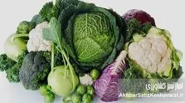 چربی شکمی با این سبزیجات معجزه‌آسا آب می‌شود | راهنمای جامع تغذیه