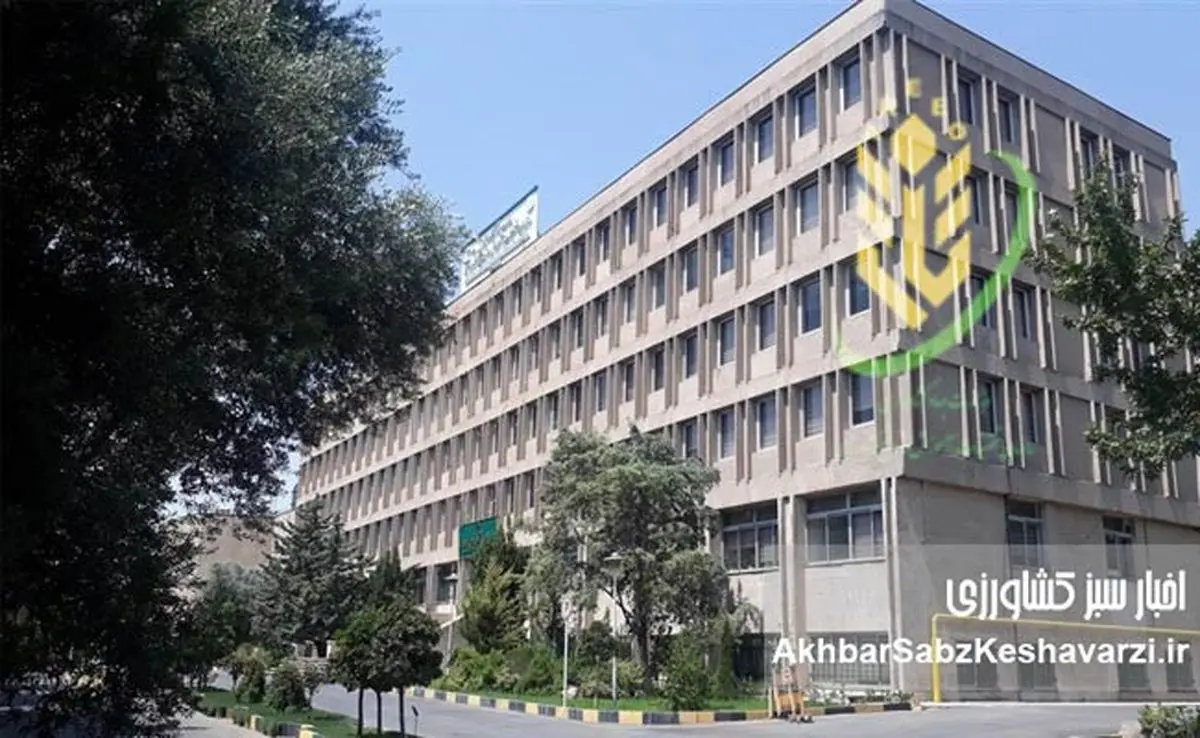 سردرگمی در عمل و بازطراحی در تات؛ اجرای قانون کوچک‌سازی با تأخیر مواجه شد