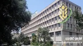 سردرگمی در عمل و بازطراحی در تات؛ اجرای قانون کوچک‌سازی با تأخیر مواجه شد