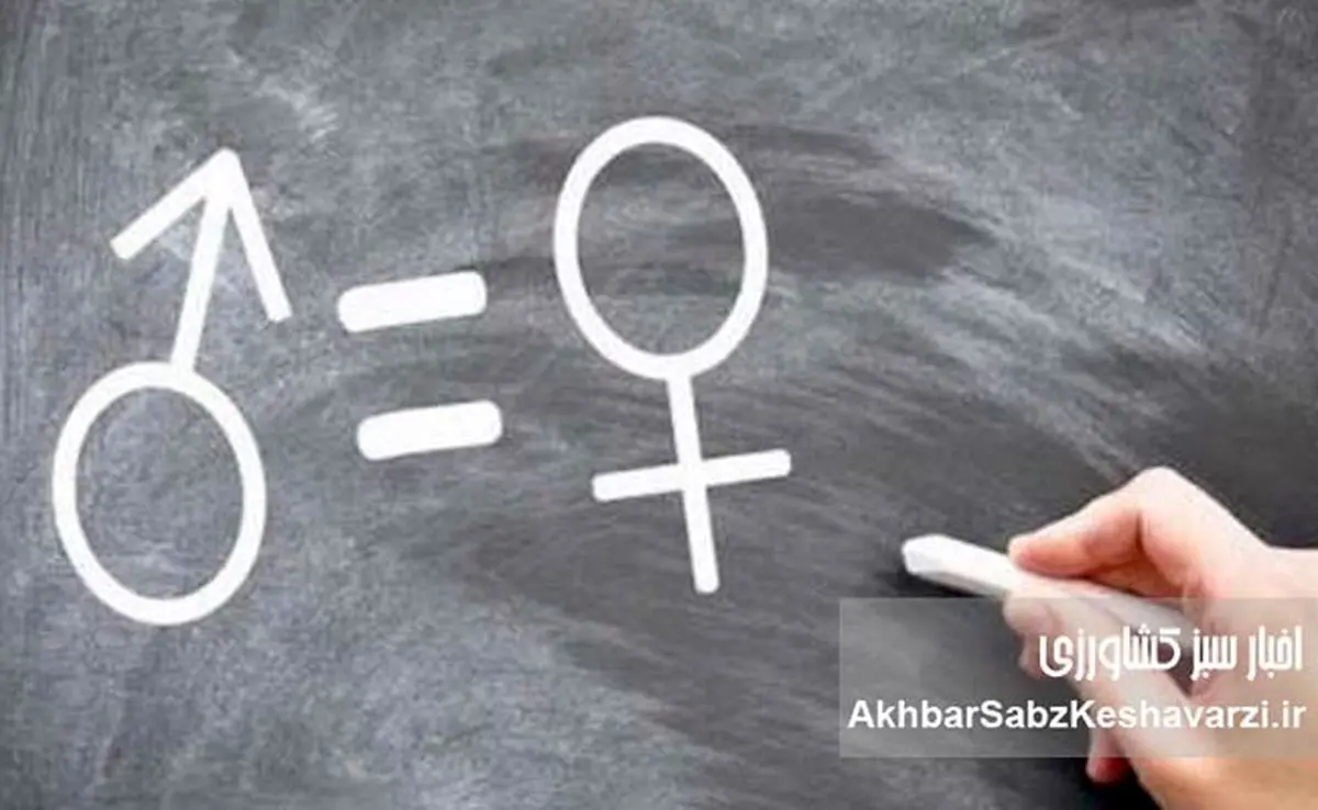 برابری دیه زن و مرد: ضرورتی برای عدالت در قوانین ایران
