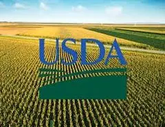 وزیر جدید USDA: کشاورزان می توانند 31 میلیارد دلار کمک دریافت کنند
