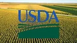 وزیر جدید USDA: کشاورزان می توانند 31 میلیارد دلار کمک دریافت کنند